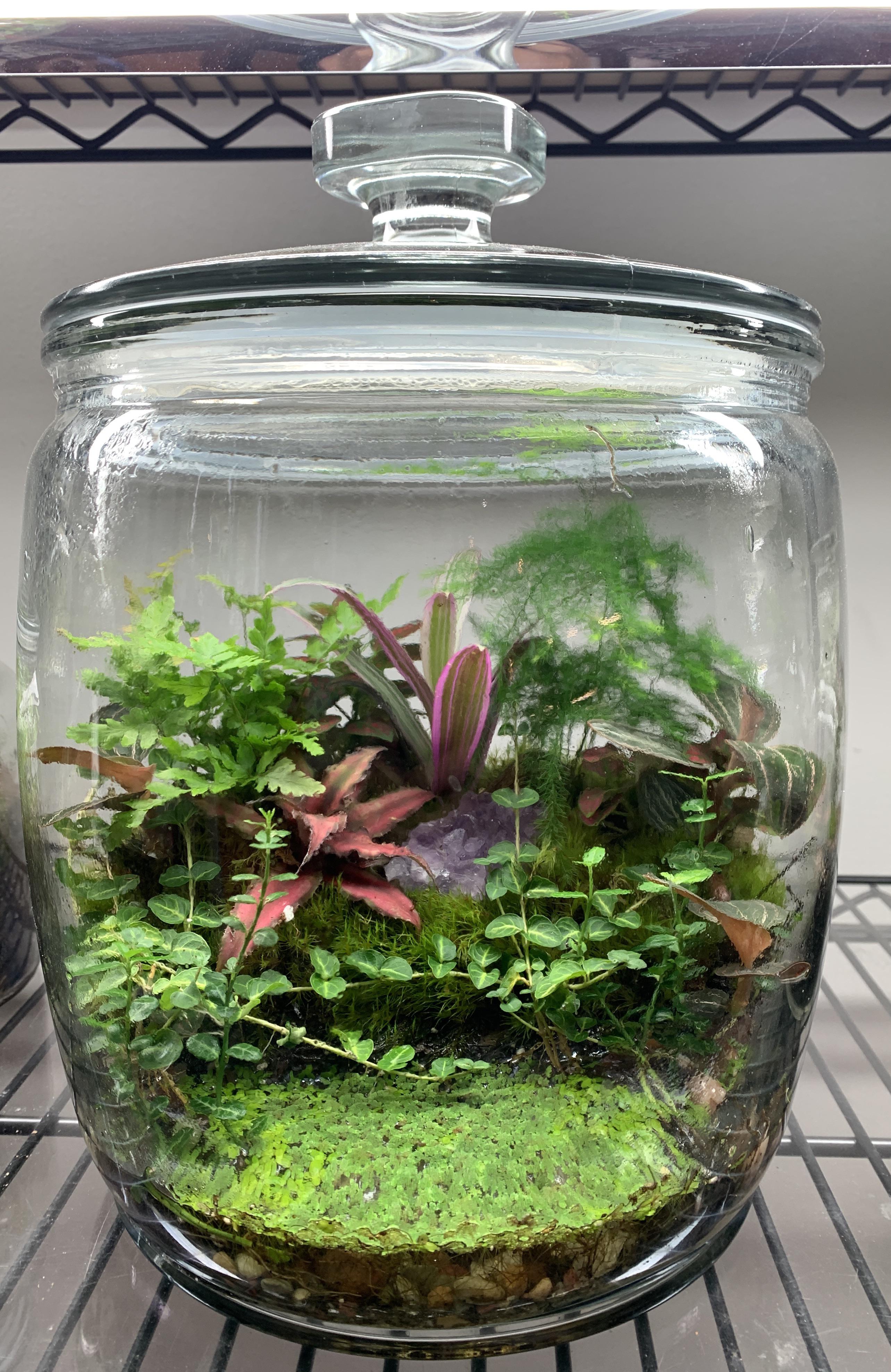 Stacking Exo Terra Terrariums Tips For Creating A Safe And Stable Habitat Craftsmumship