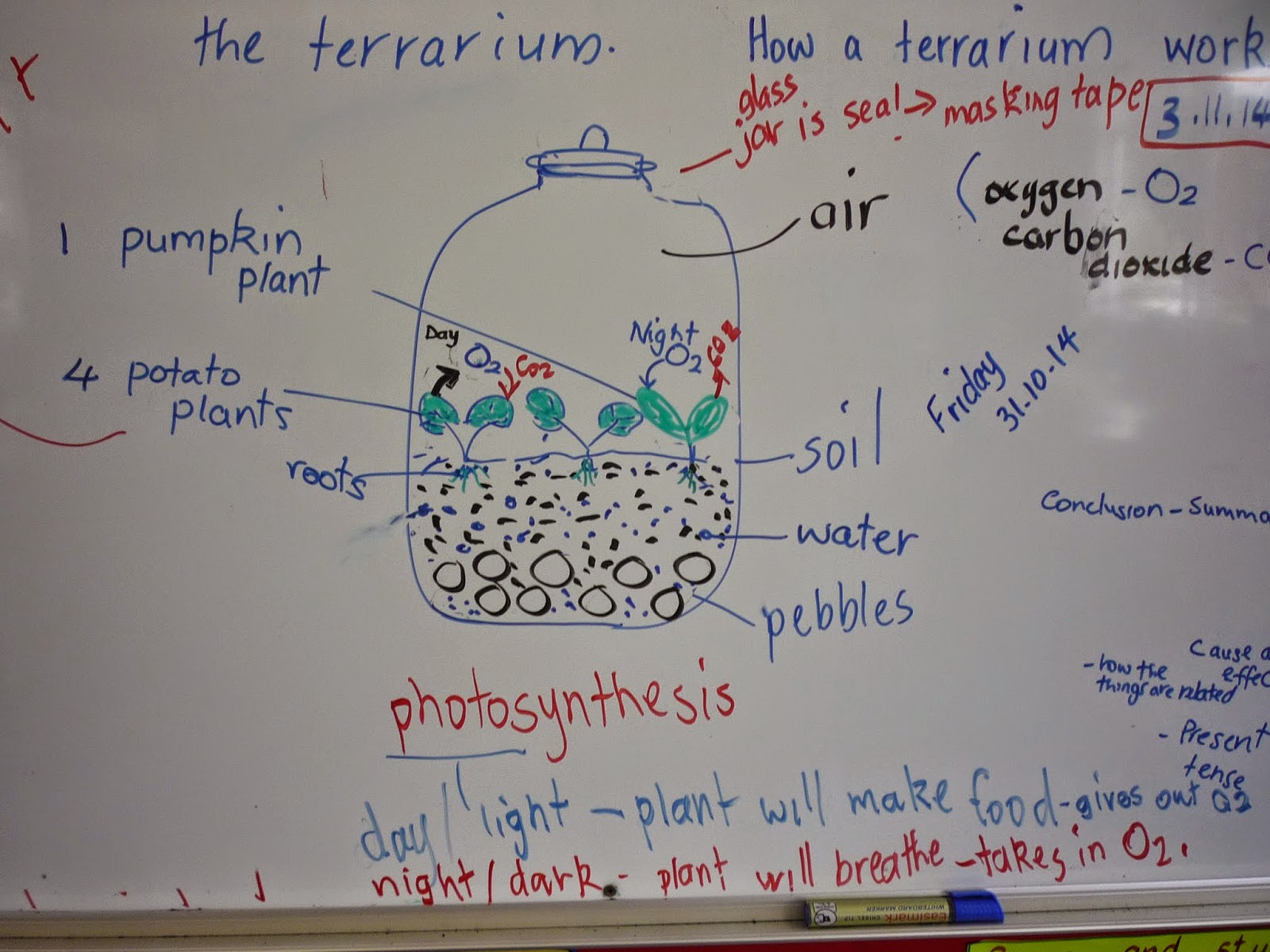 The Sealed Terrarium A SelfSustaining Environment For Growing Plants Craftsmumship