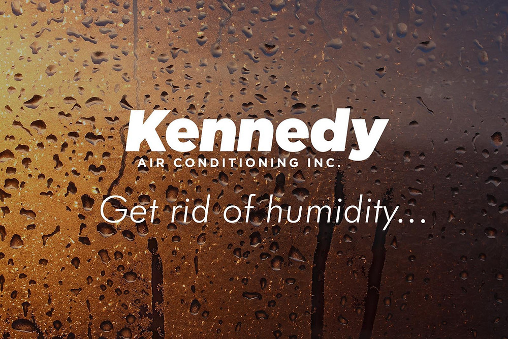 Decreasing Humidity In Your Terrarium Craftsmumship