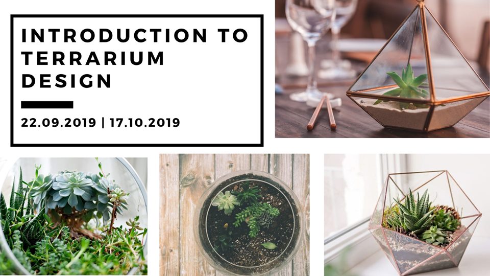 How To Create A Unique And EyeCatching Terrarium Craftsmumship