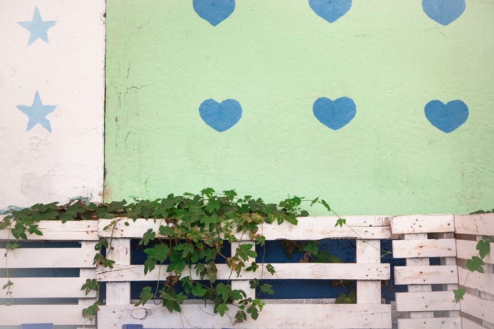 10 Creative FencePainting Ideas for Your Garden Crafty Captain