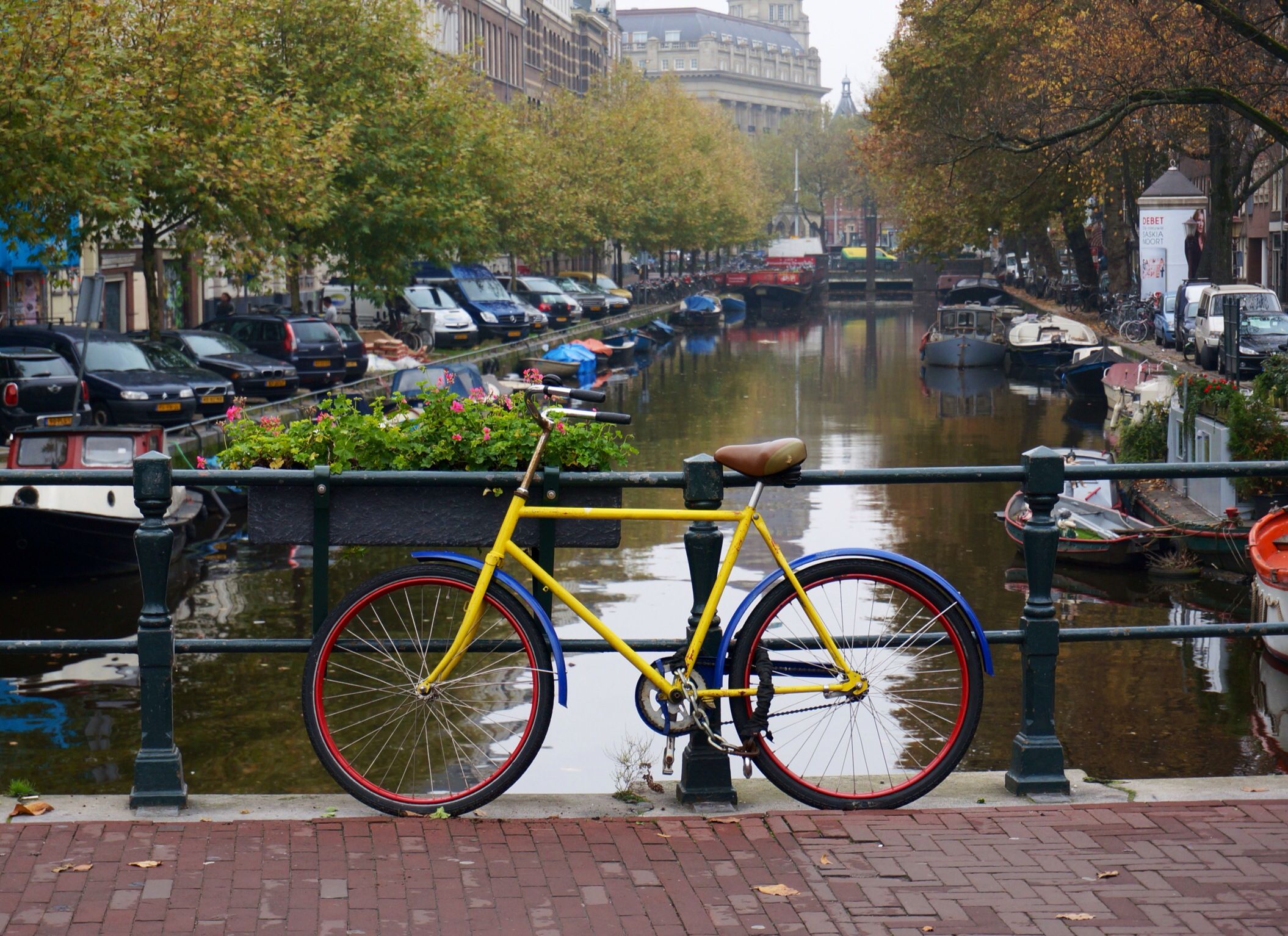 Do You Need A Bike To Get Around Amsterdam? Cravings In Amsterdam
