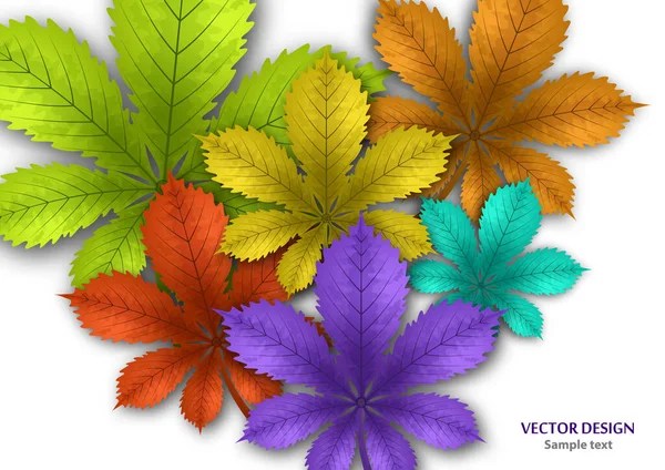 Vettoriali Stock Royalty-Free Di Herbárium 430_x_608_jpg