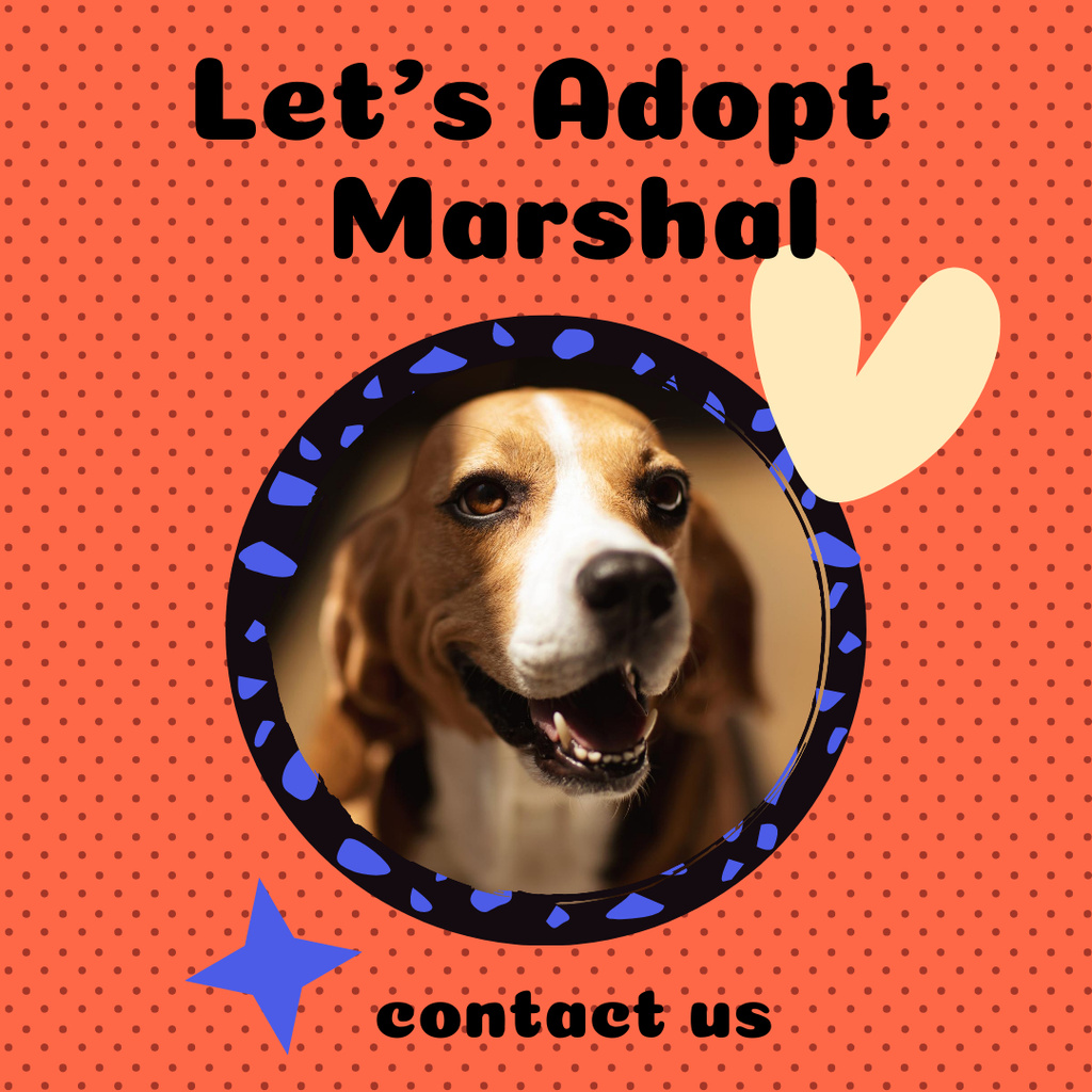 Pets Adoption Club Ad with Cute Dog Online Instagram Post Template