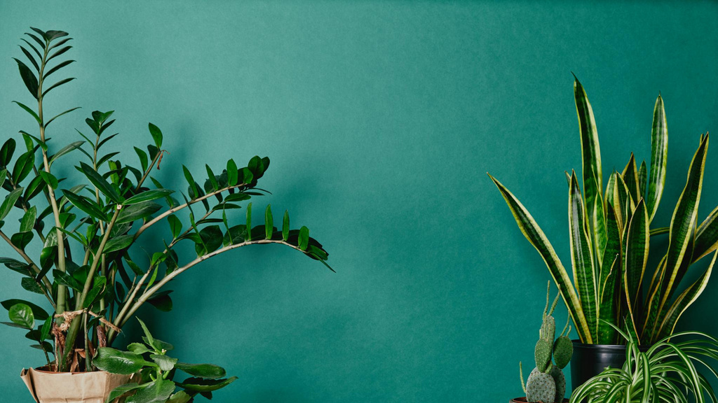 78+ Background Zoom Green My