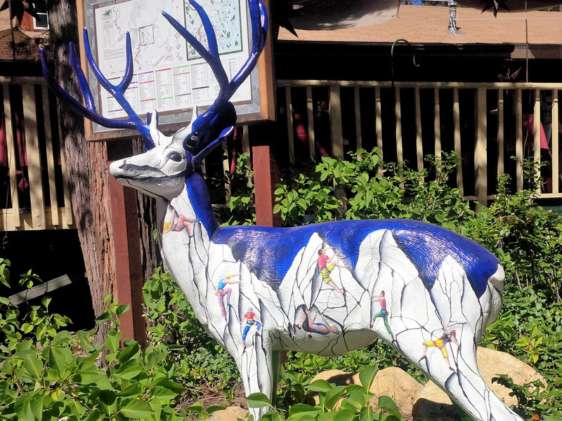 Idyllwild, California Mountain Grandeur and Arts Mecca, by Travel