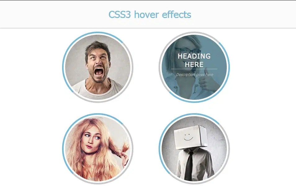 250+ JQuery & CSS3 Hover Effects (Plugins & Tutorials)