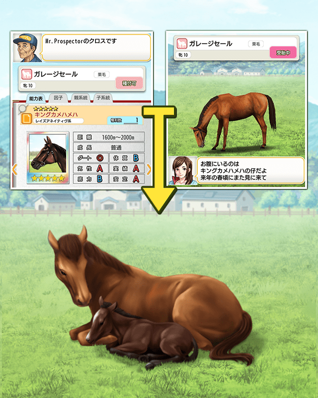 ダビスタ 最強 馬 Vasilije Veselko