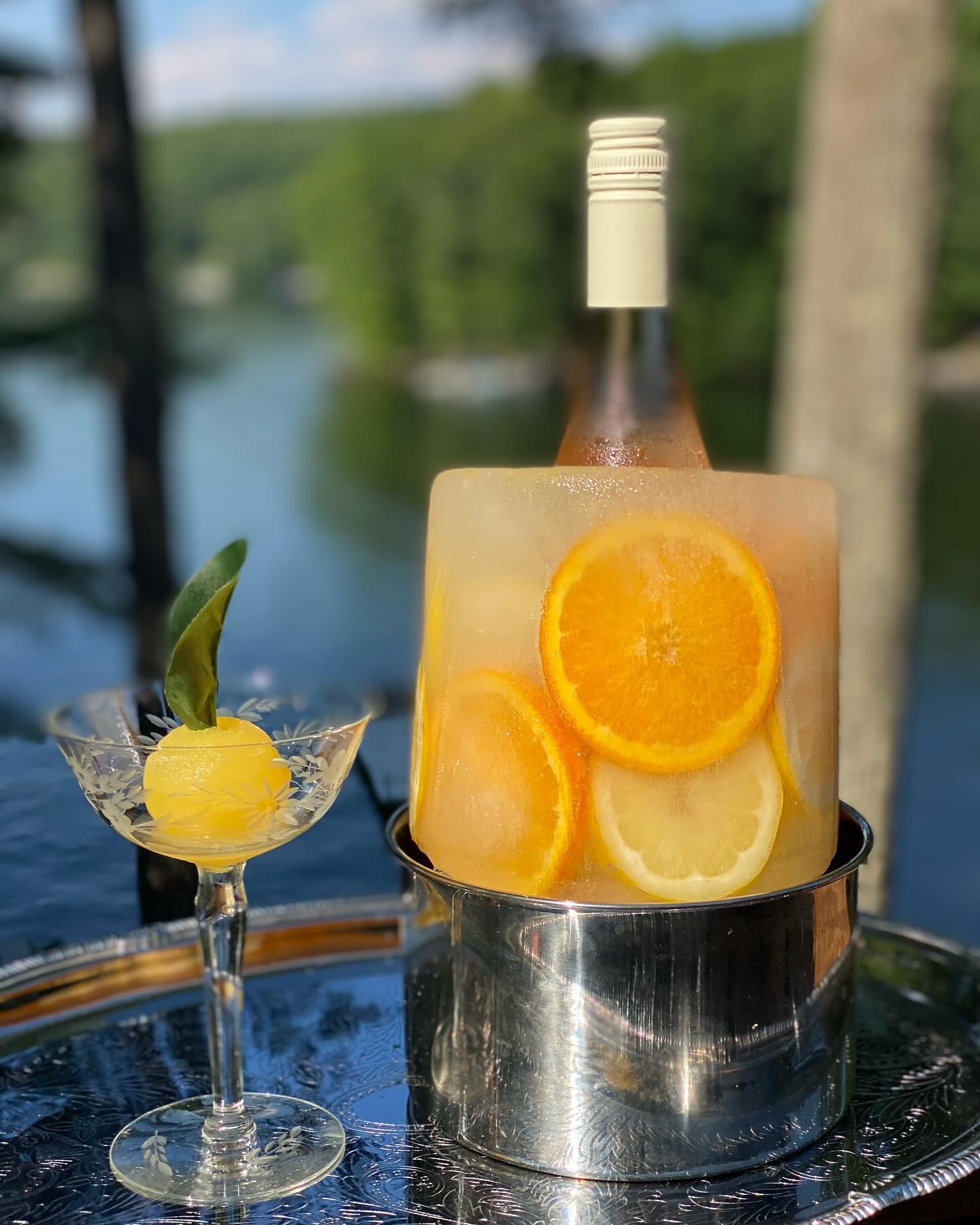 Ice Mold/Wine Bottle Chiller + Reviews Crate & Barrel Canada