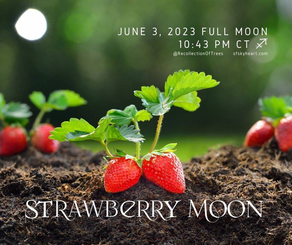 Strawberry Moon June 2023
