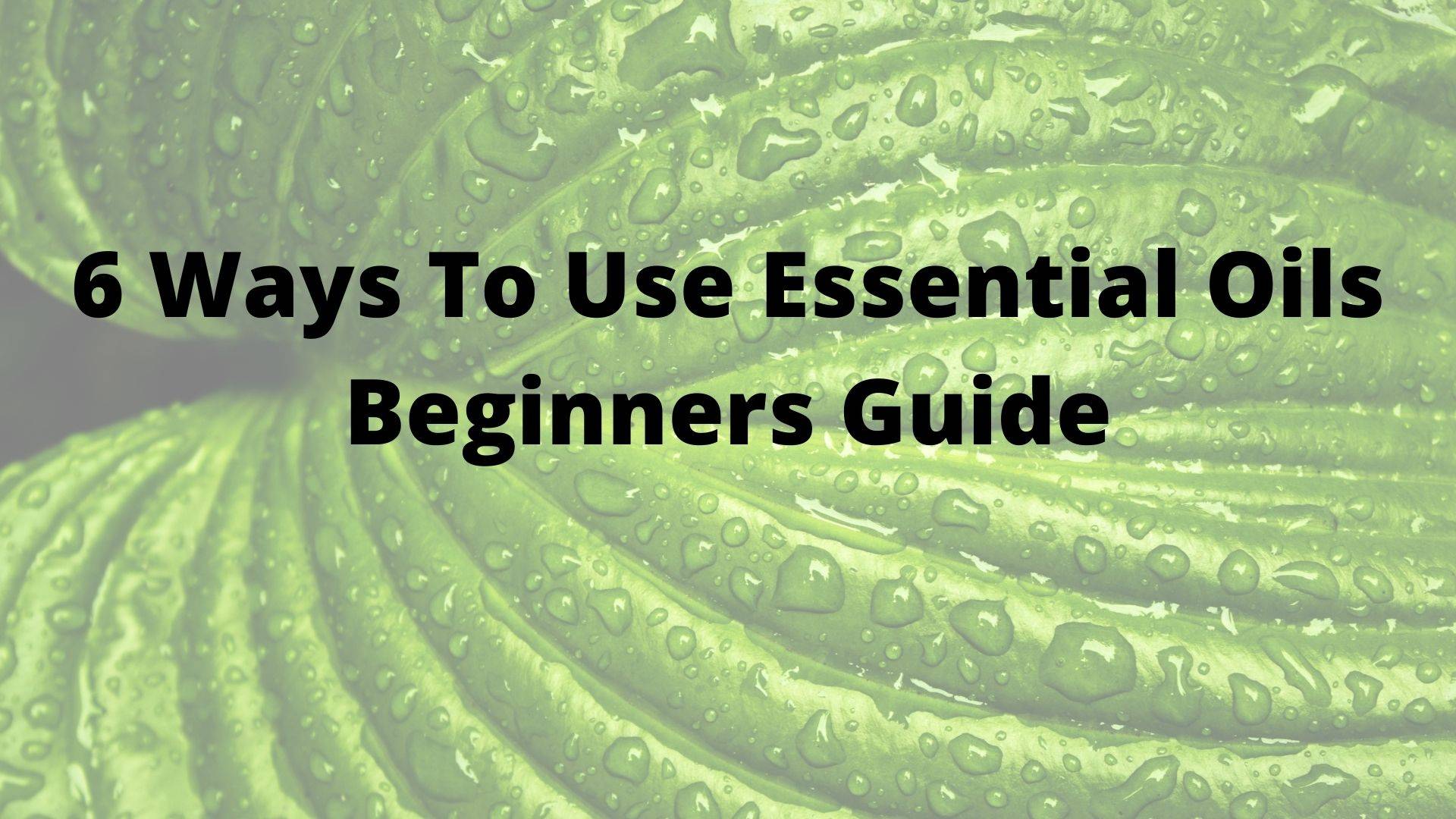 6 Ways To Use Essential Oils Beginners Guide