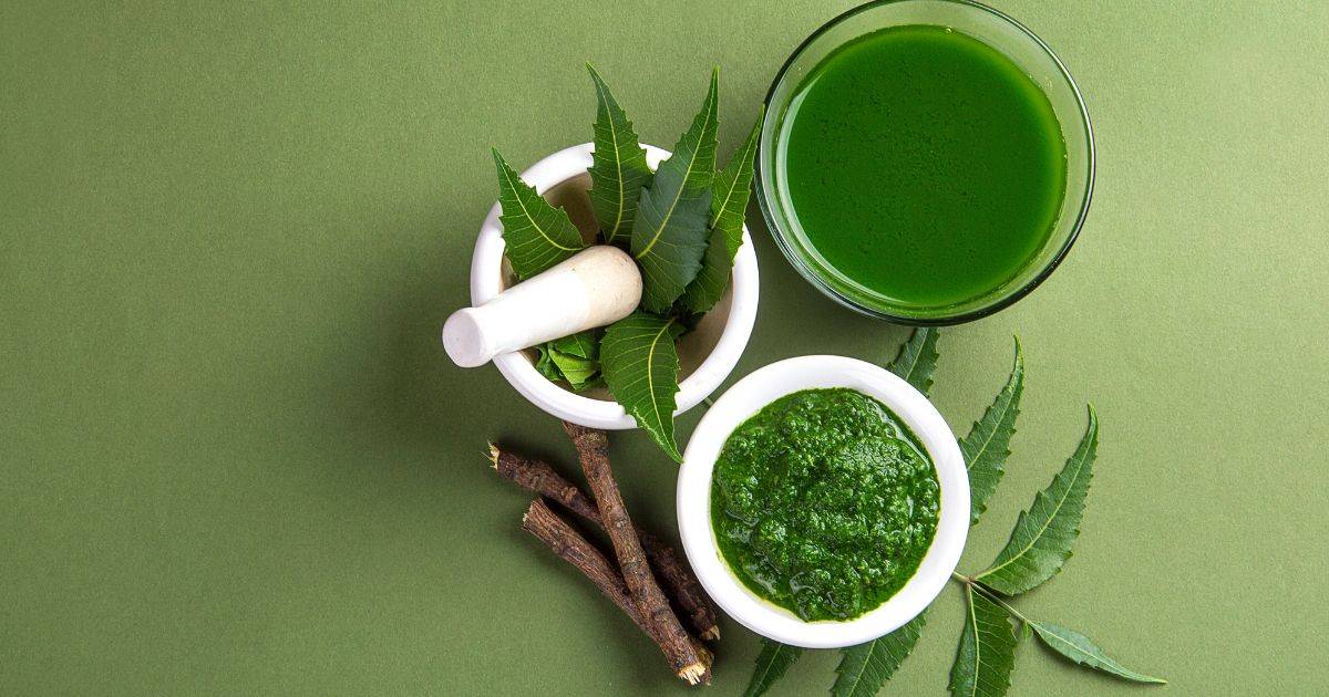 10 Best Neem Oil for Plants in India Benefits and How to Use It
