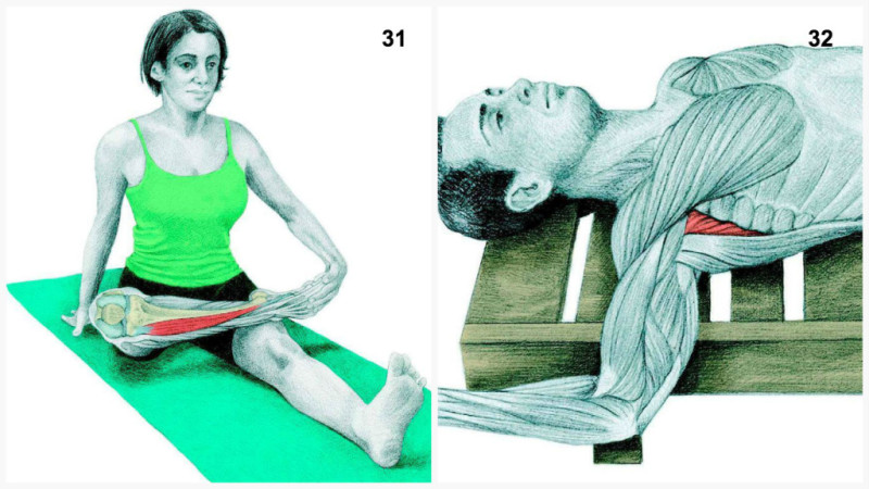 34 Pictures That Show You Exactly What Muscles You're Stretching