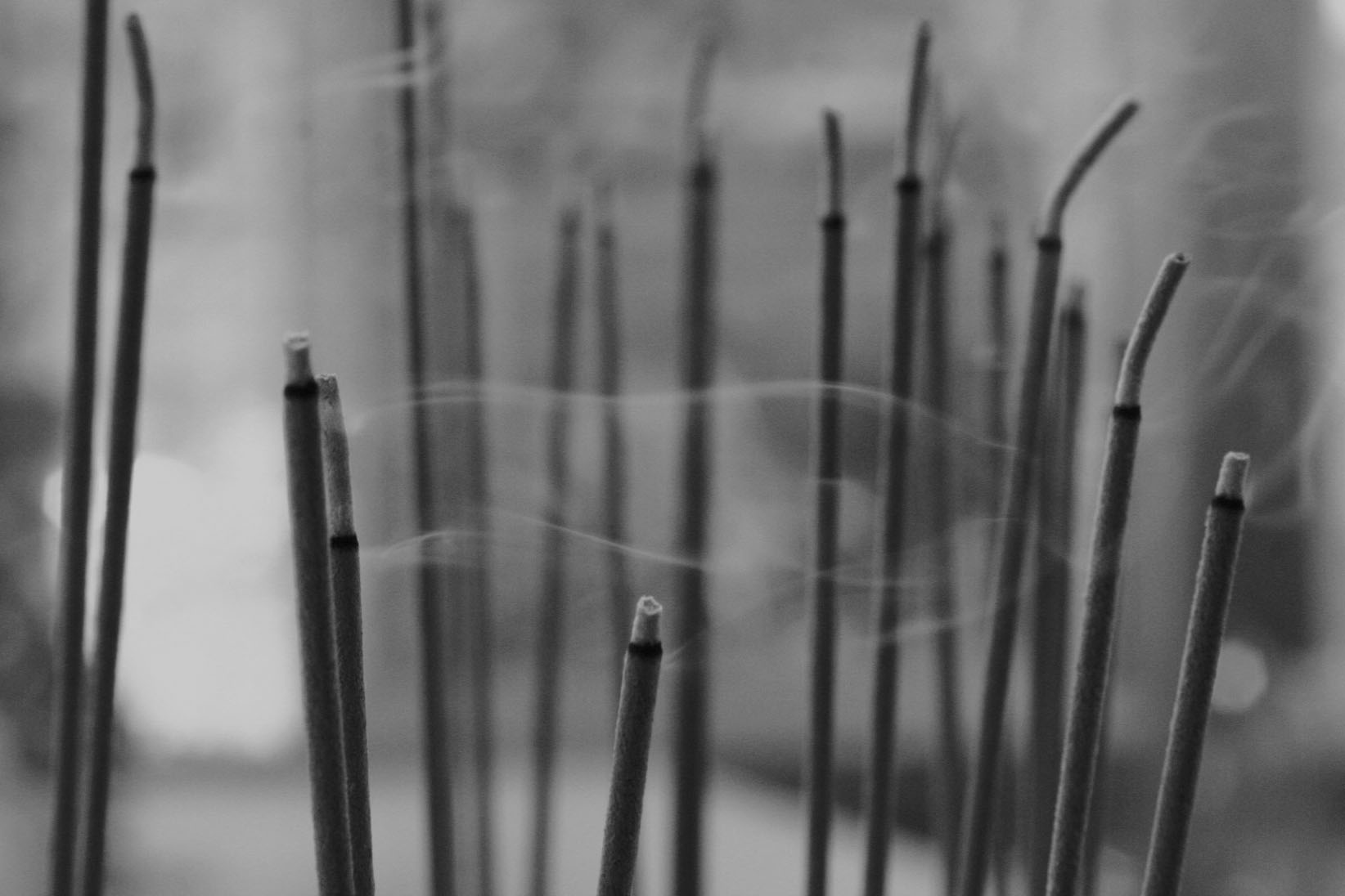 10 Ways To Raise The Vibration Of Your Home David Avocado Wolfe