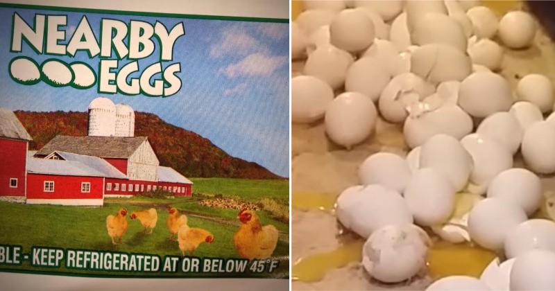 Costco is Hiding THIS Disturbing Secret About Their Eggs David
