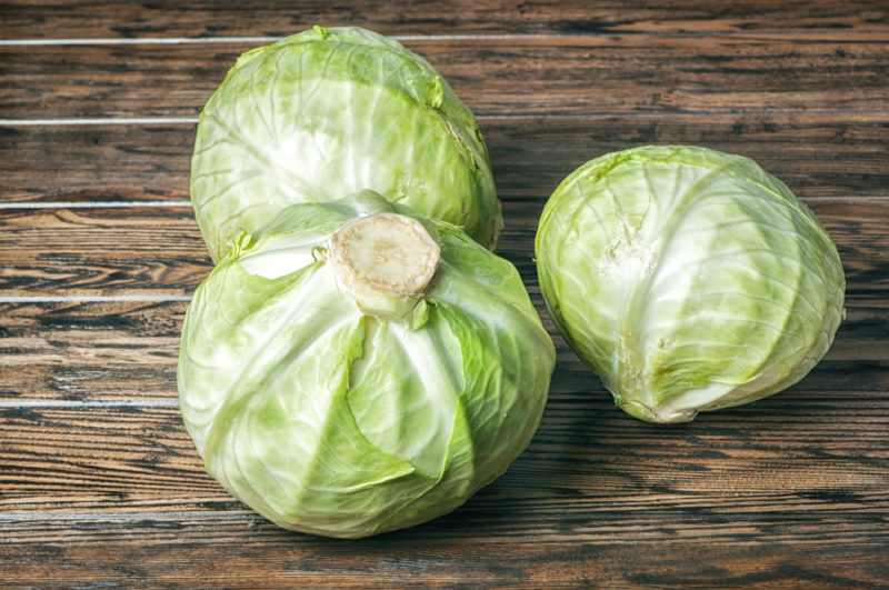 Try this Cabbage Compress for Pain, and Weaning! David