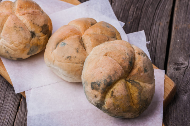 This Is Why You Should Never Eat Moldy Bread David