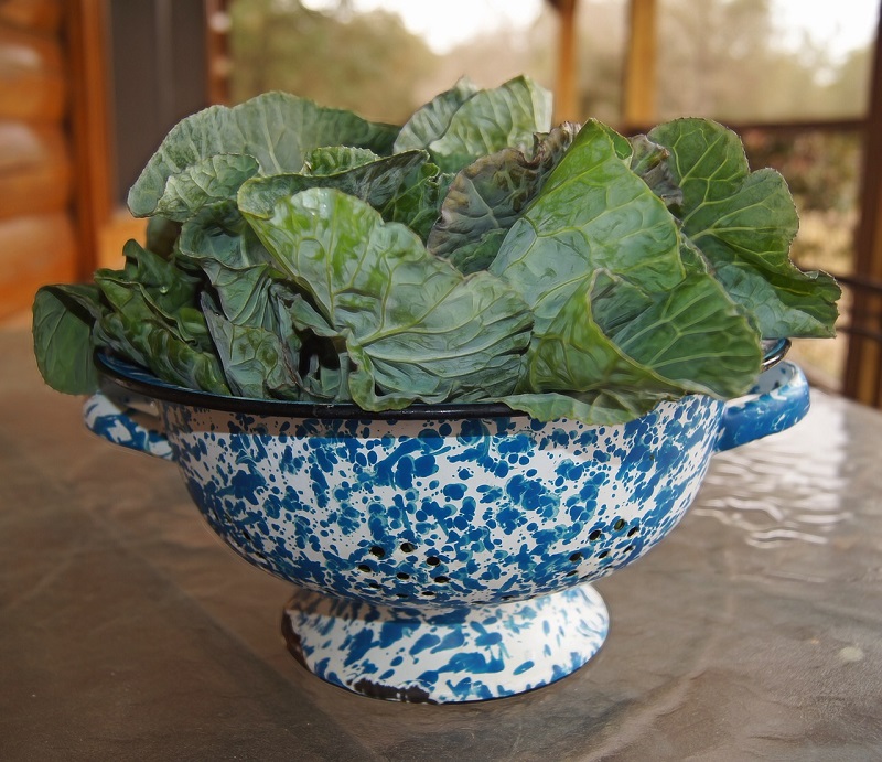 Collard Greens 8 Benefits & Uses David Avocado Wolfe