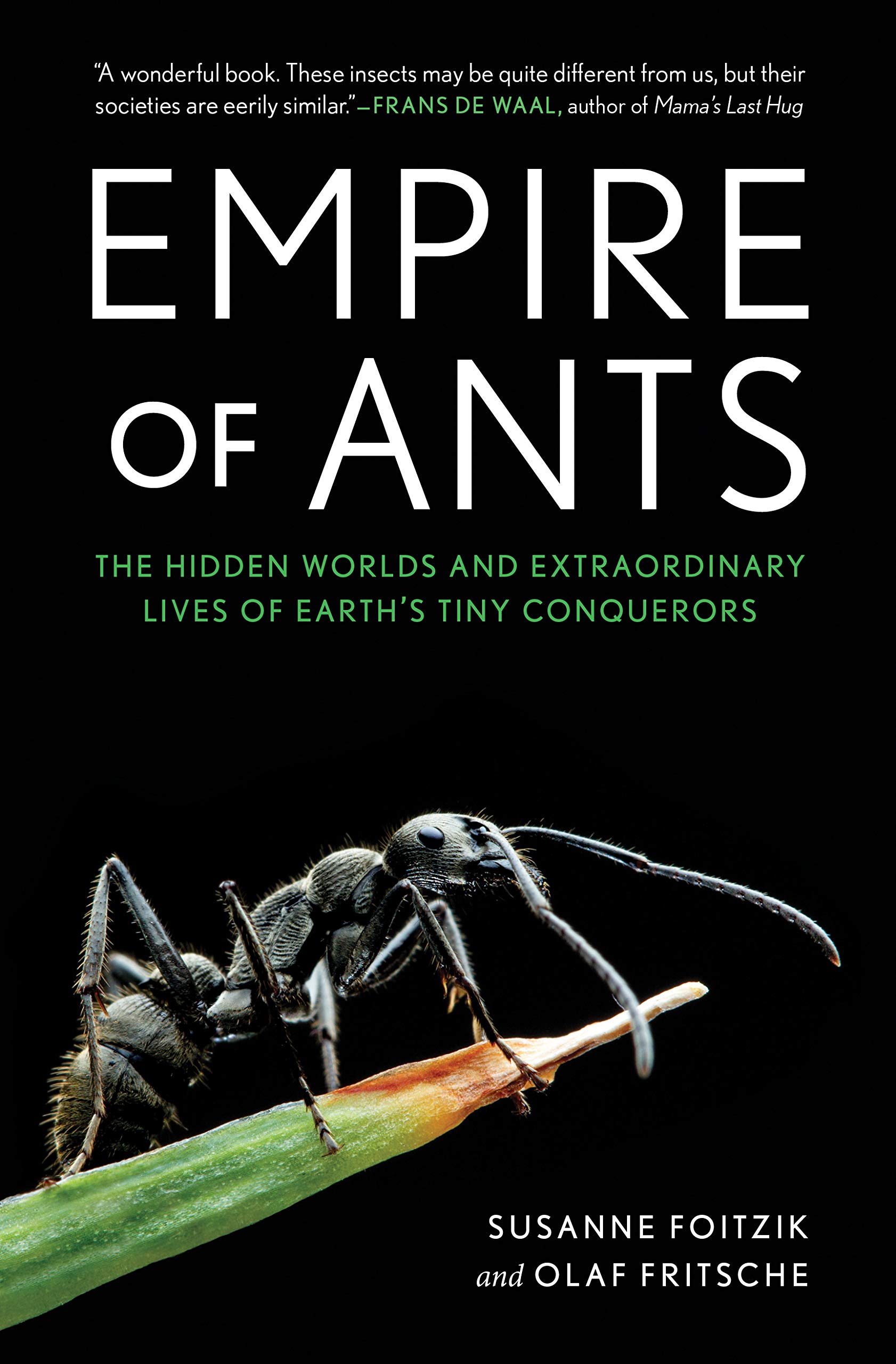 Empire of Ants Susanne Foitzik, Olaf Fritsche