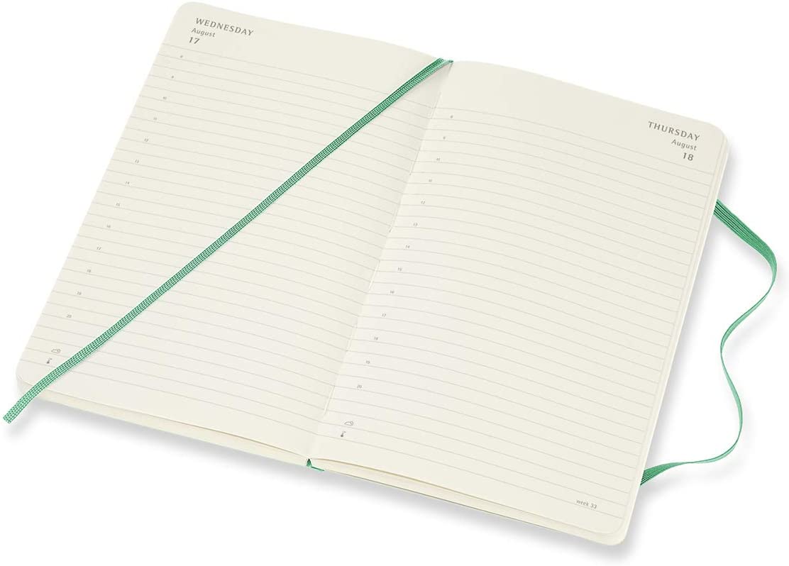 Agenda 2022 12Month Daily Planner Large, Soft Cover Ice Green