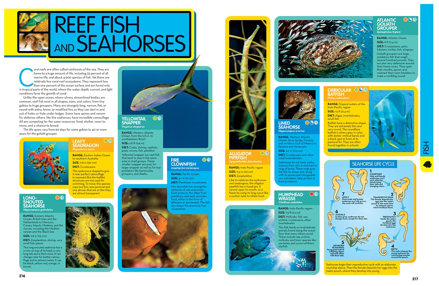 Animal Encyclopedia Angela Modany, National Geographic Kids