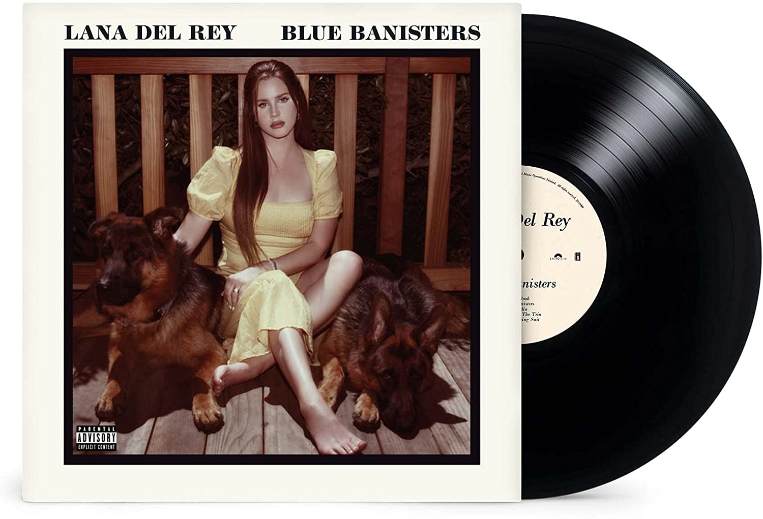 Blue Banisters Vinyl Lana Del Rey