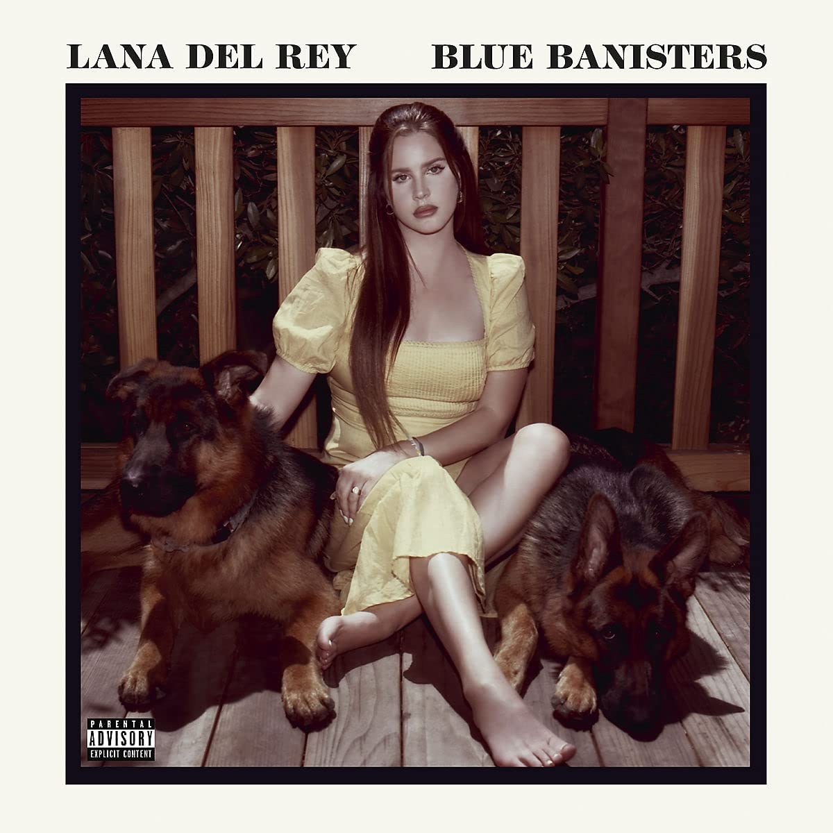 Blue Banisters Vinyl Lana Del Rey