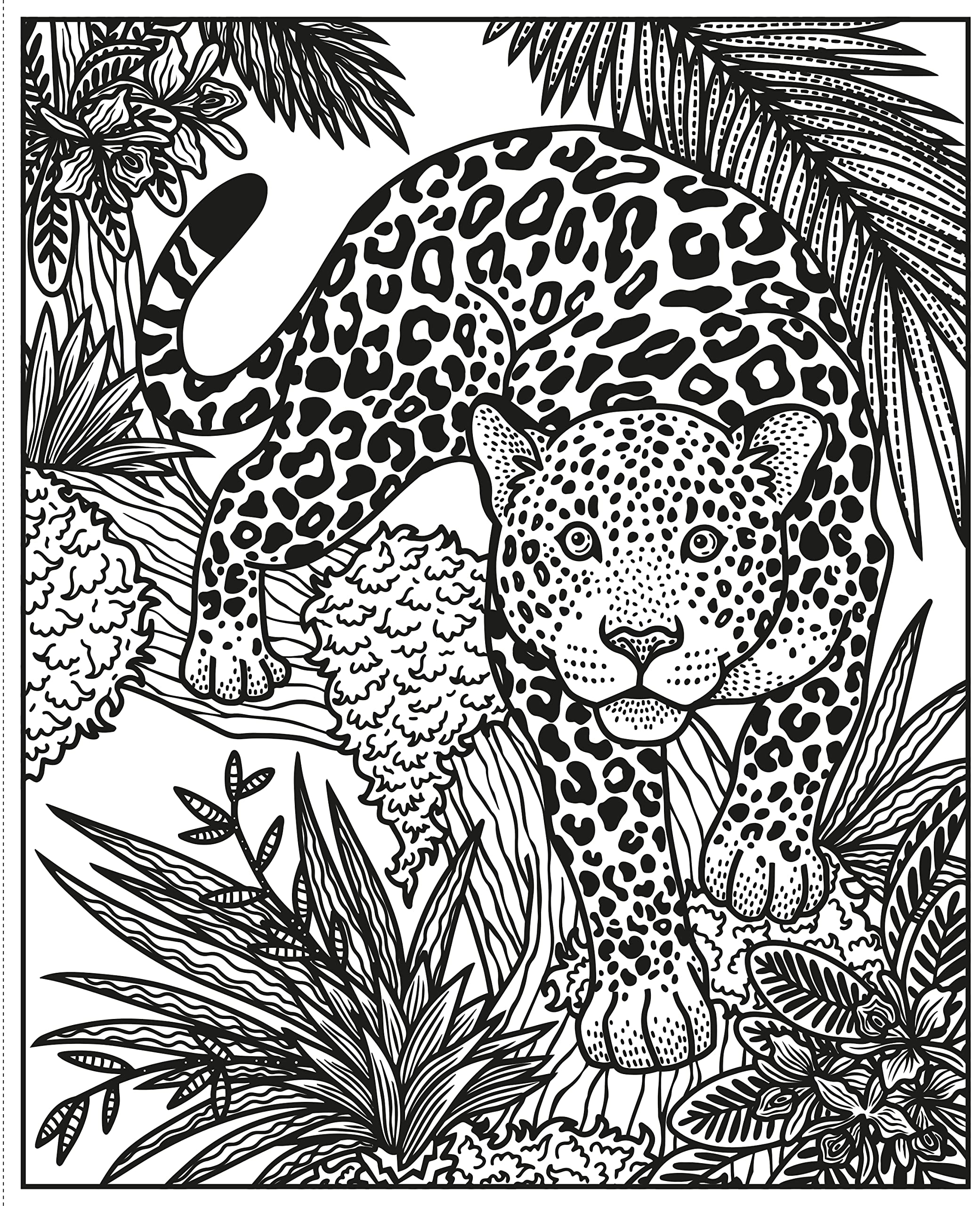 Wild Animals Magic Painting Book Abigail Wheatley