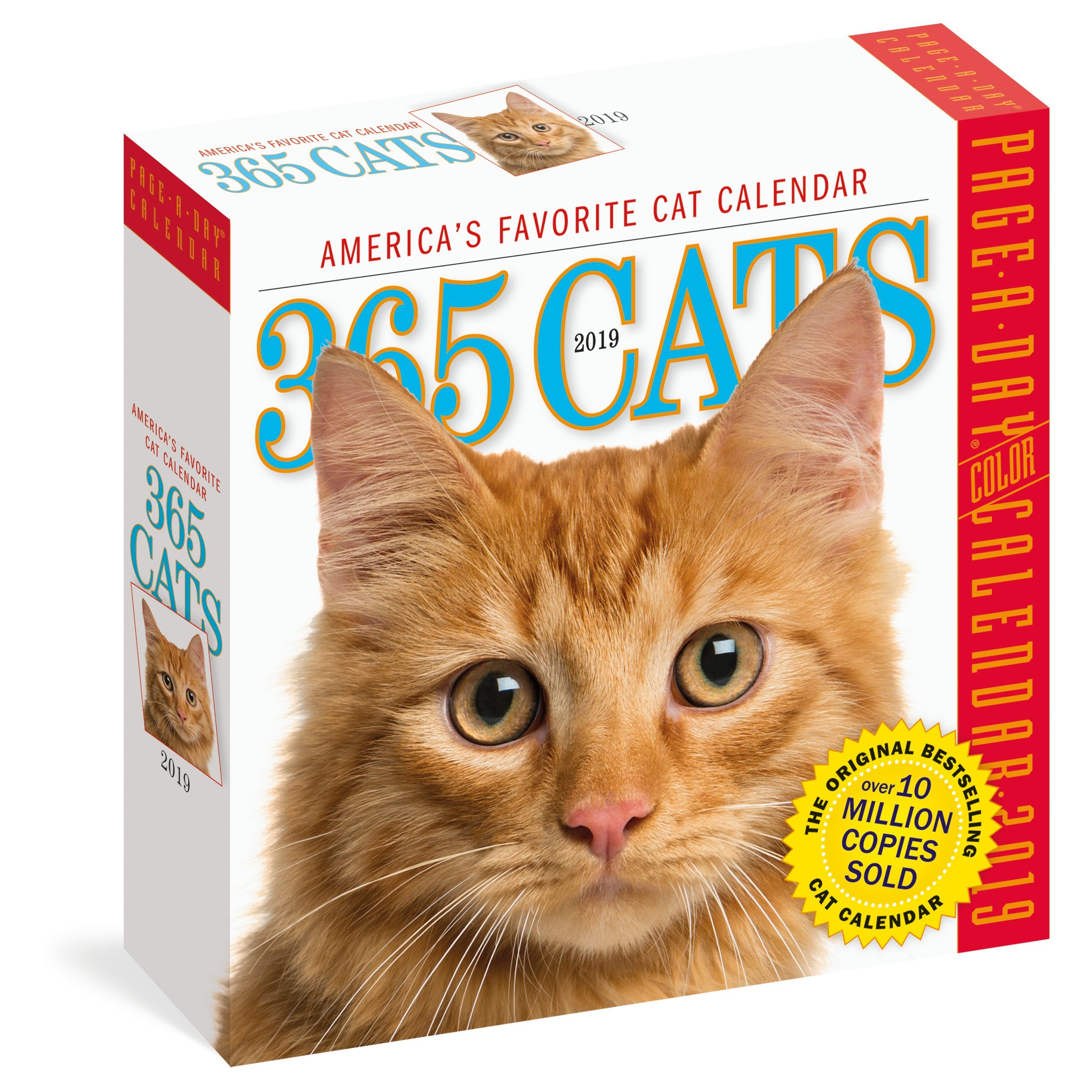 365 cats page-a-day calendar 2023 Calendar 2019 365 Cats Workman Publishing
