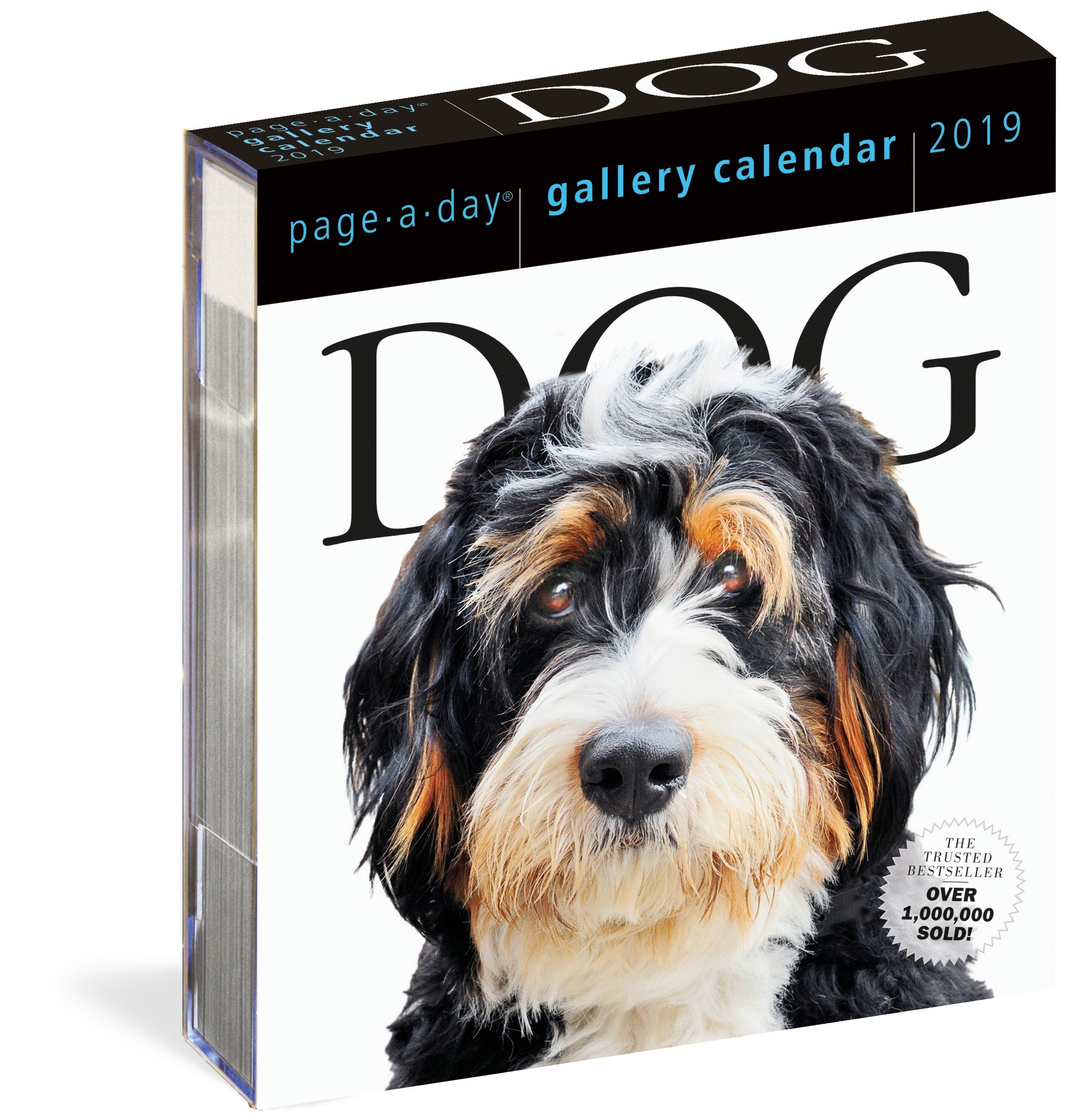 Year 2024 Dog Calendar Contest Workman Publishing Calendar 2019 Dog Gallery Workman Publishing