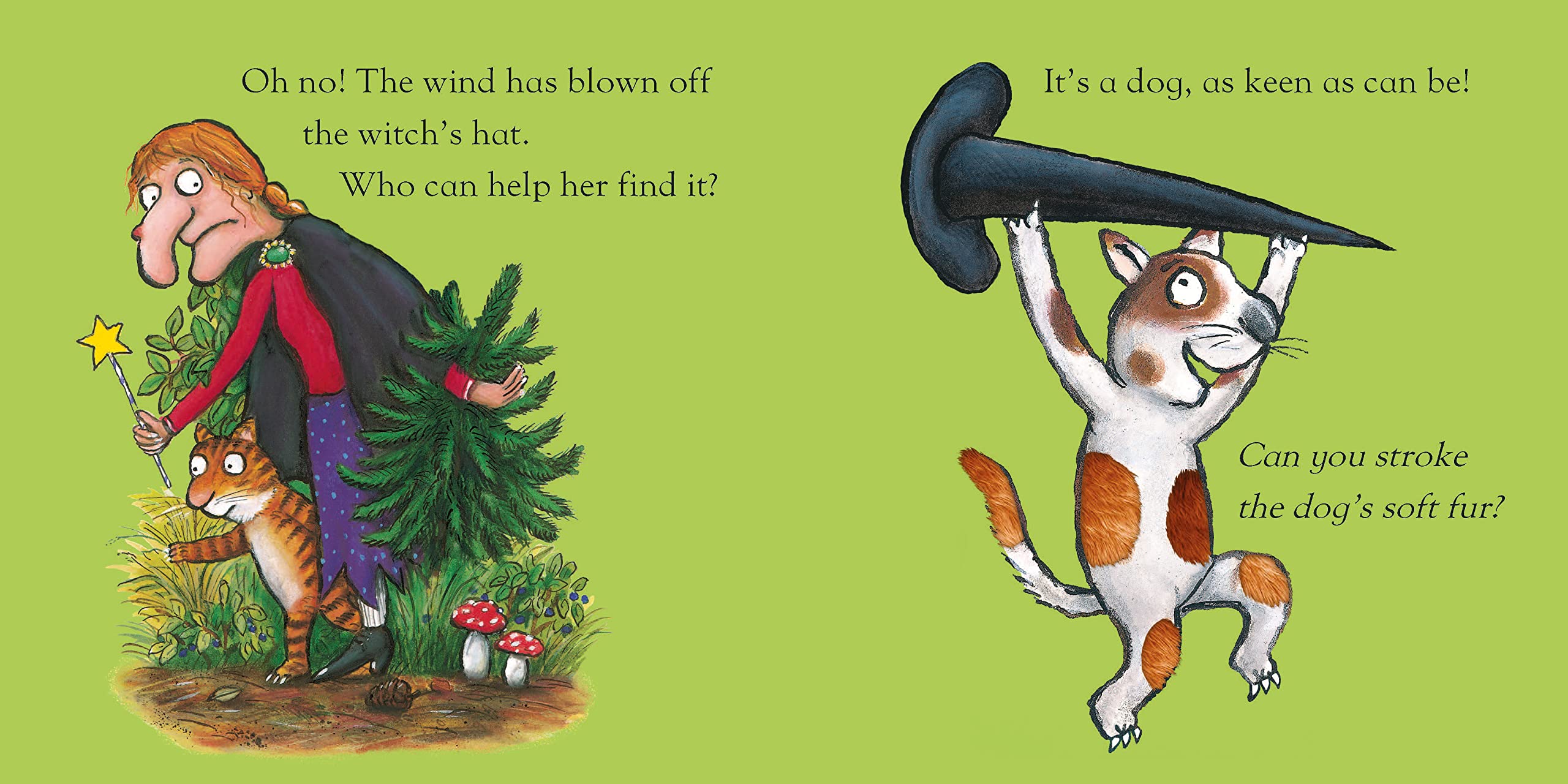 Room on the Broom Touch and Feel Book Julia Donaldson