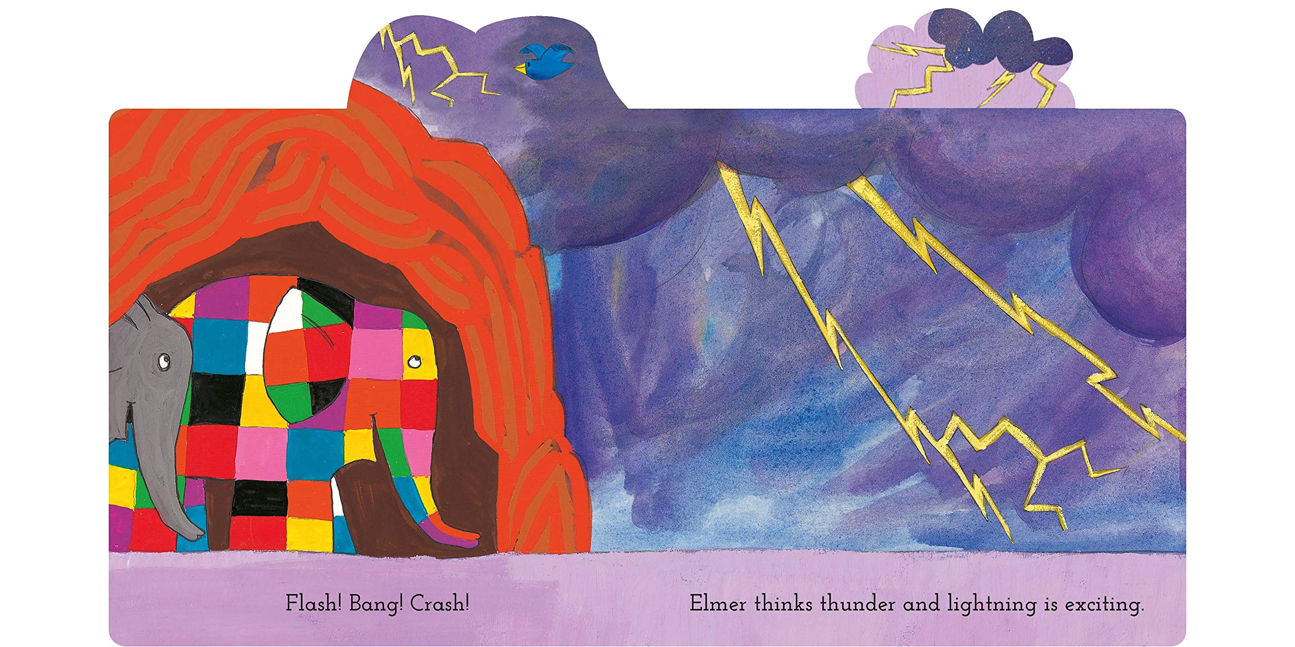 Elmer's Weather David McKee