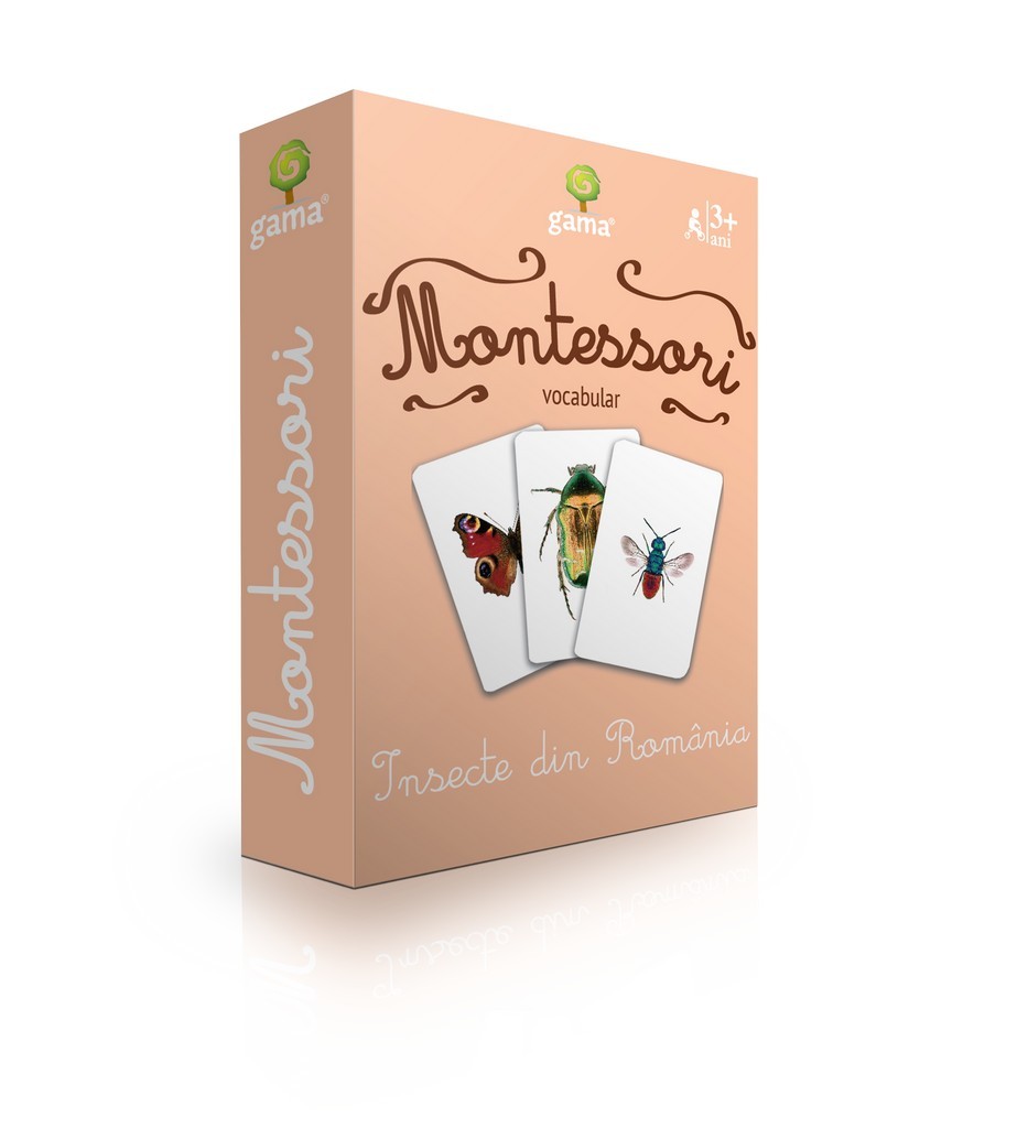 Carti de joc Montessori Insecte din Romania