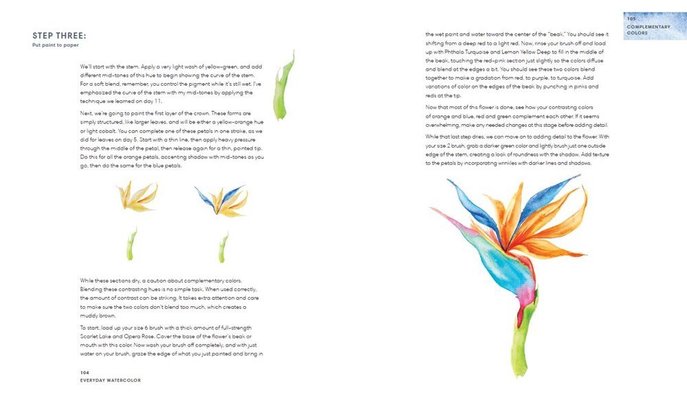 Everyday Watercolor Learn to Paint Watercolor in 30 Days Jenna Rainey