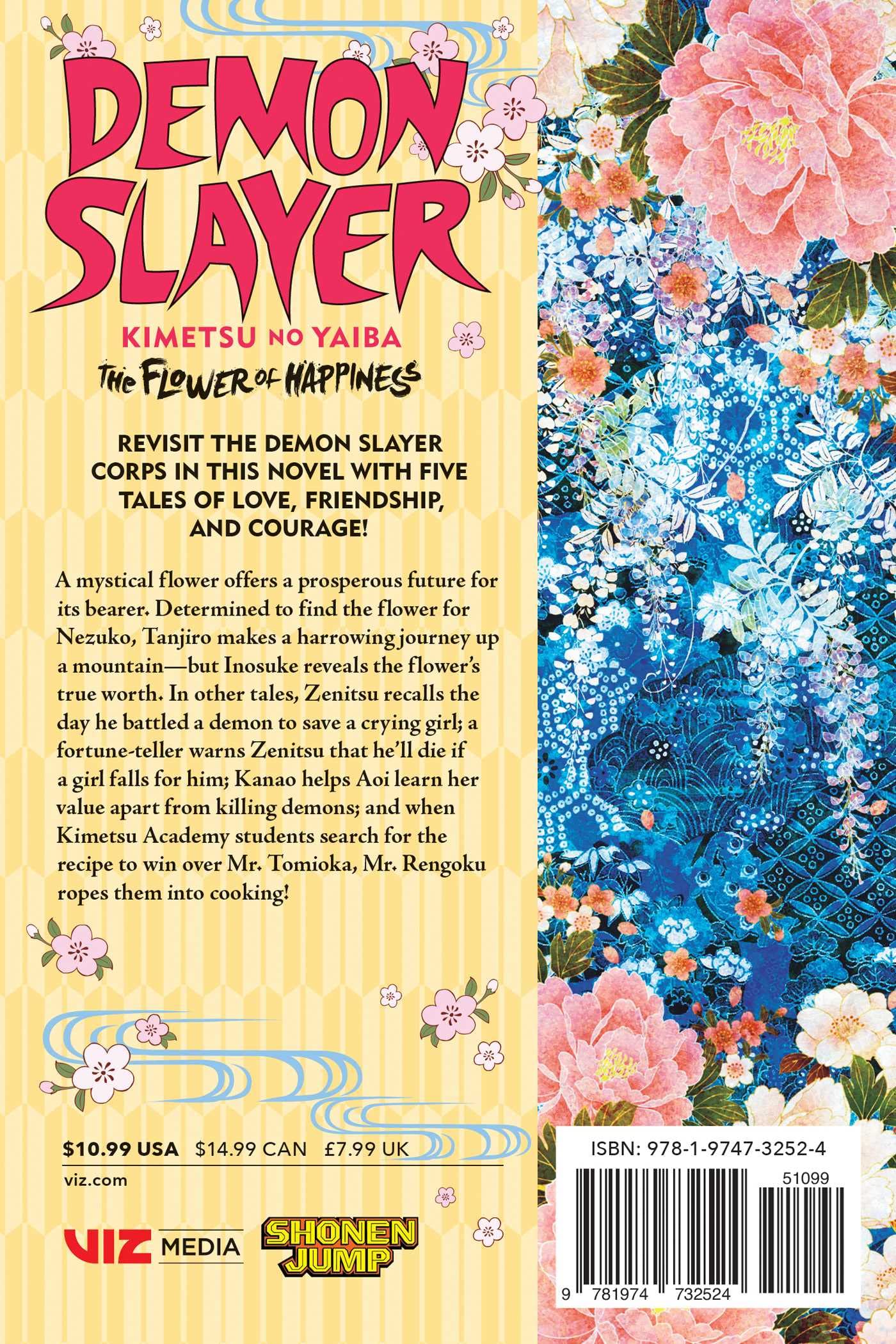 Demon Slayer Kimetsu no Yaiba The Flower of Happiness (novel) Aya