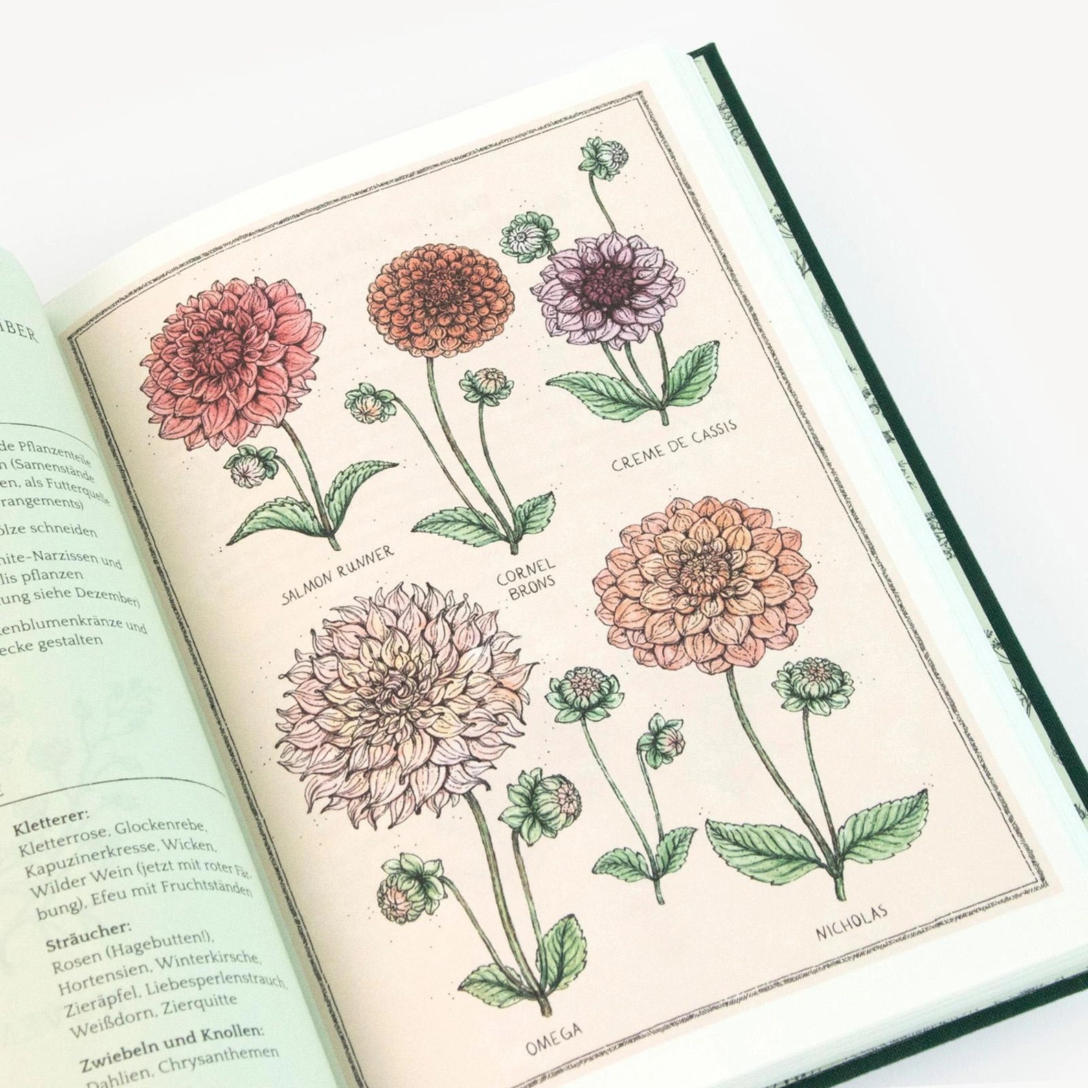 Flower Notes Jora Dahl