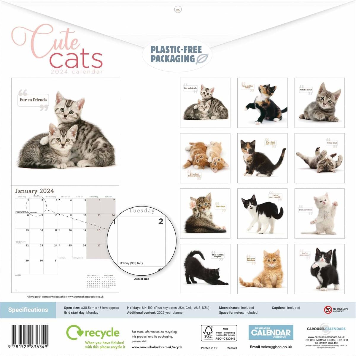 Calendar 2024 Cute Cats Carousel