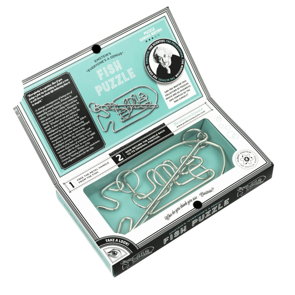 Puzzle The Einstein Collection Fish Professor Puzzle