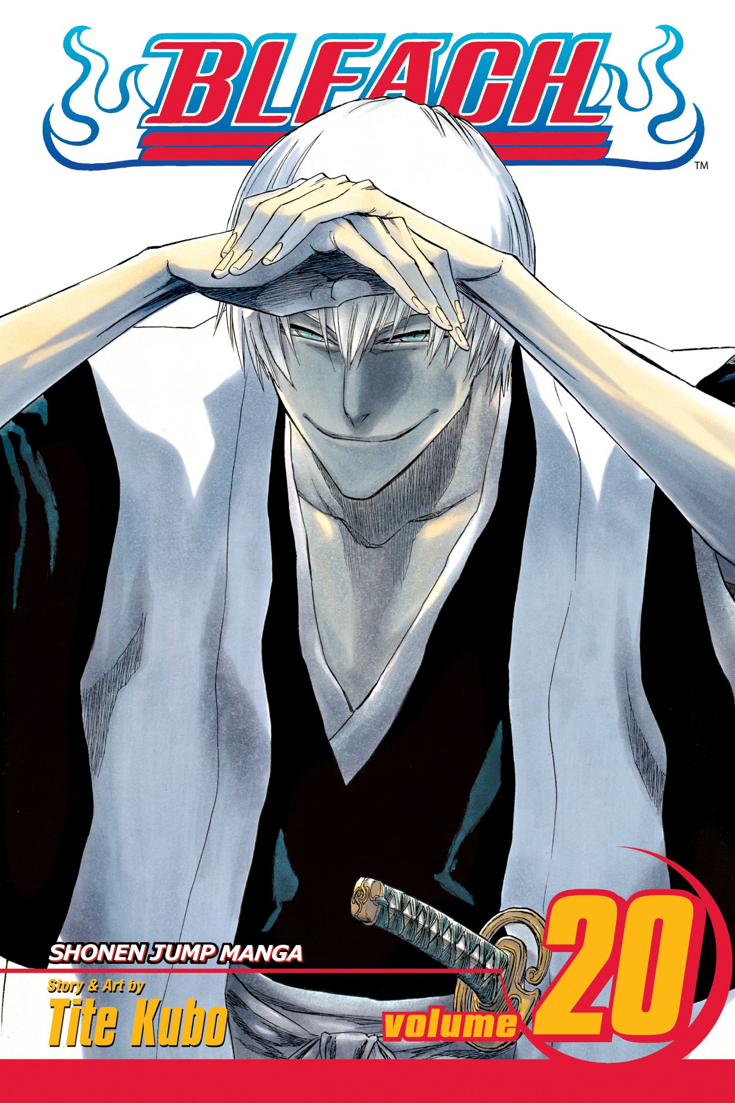 Bleach Volume 20 Tite Kubo