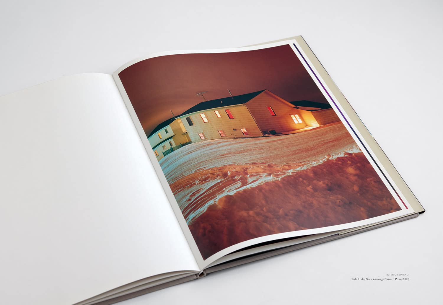 Publish Your Photography Book Mary Virginia Swanson, Darius D. Himes