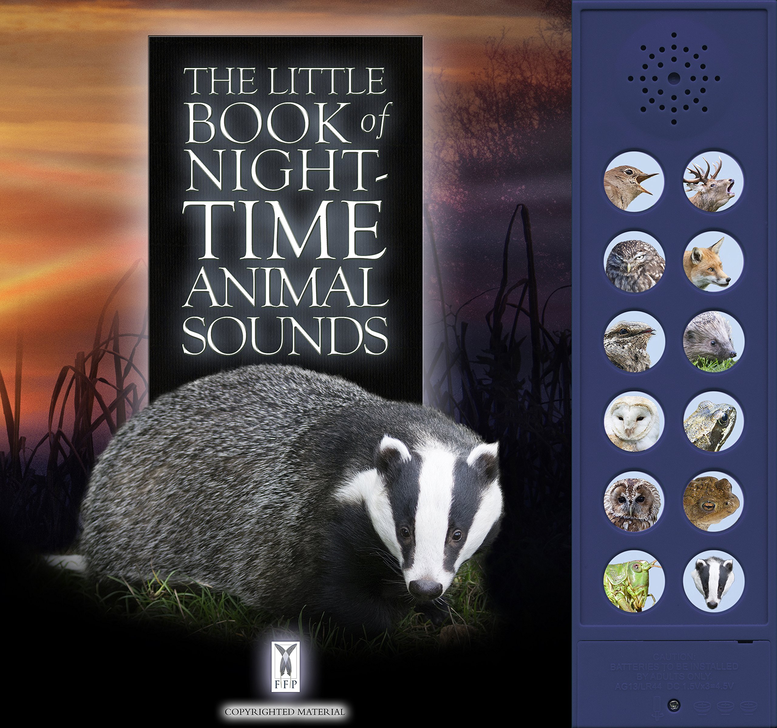 The Little Book of Night Time Animal Sounds Caz Buckingham, Andrea
