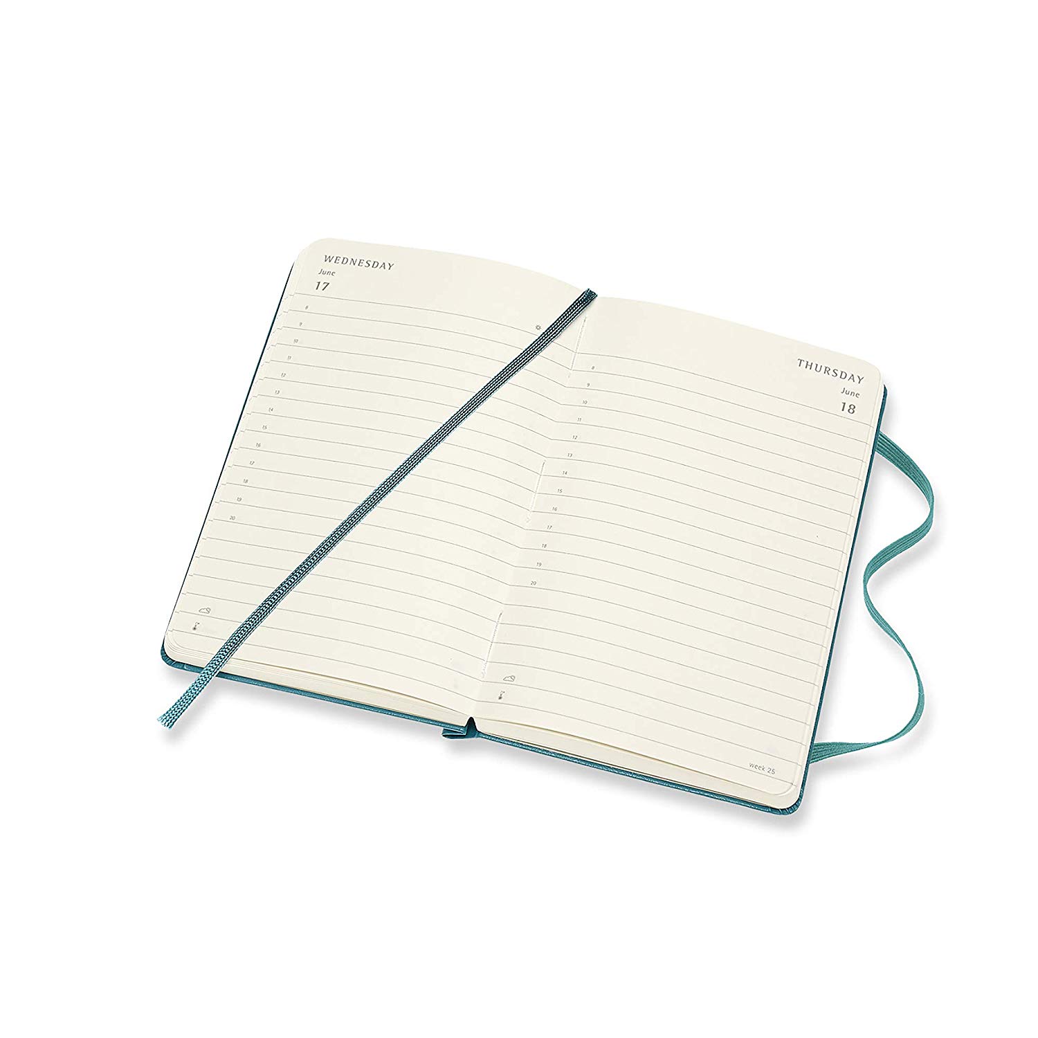 Agenda 2020 Moleskine 12Month Daily Notebook Planner