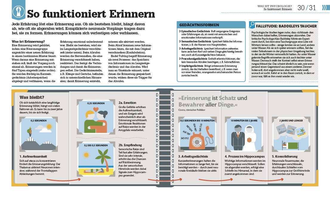 Psychologie im Alltag Jo Hemmings, Catherine Collin