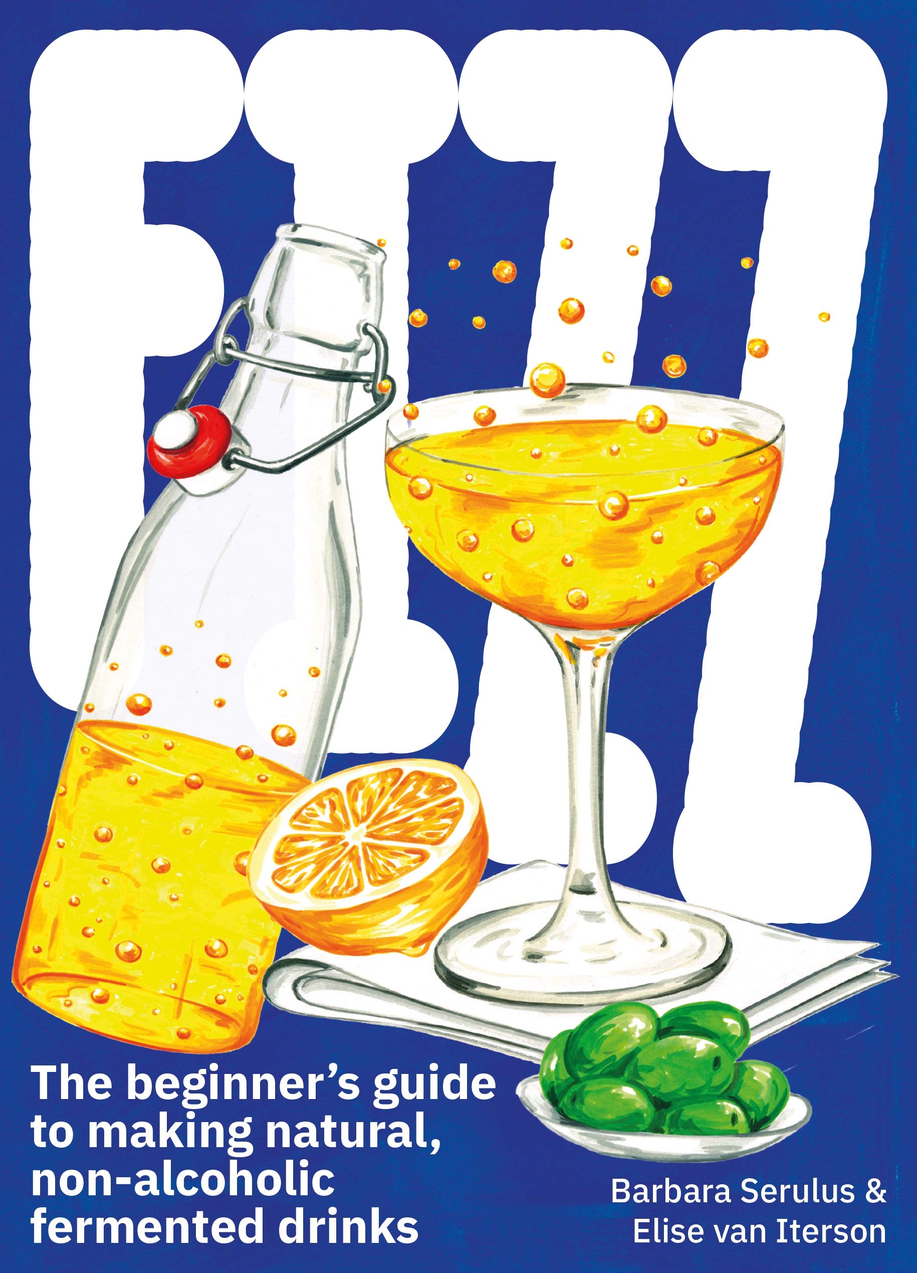 FIZZ The Beginners Guide to Making Natural, NonAlcoholic Fermented
