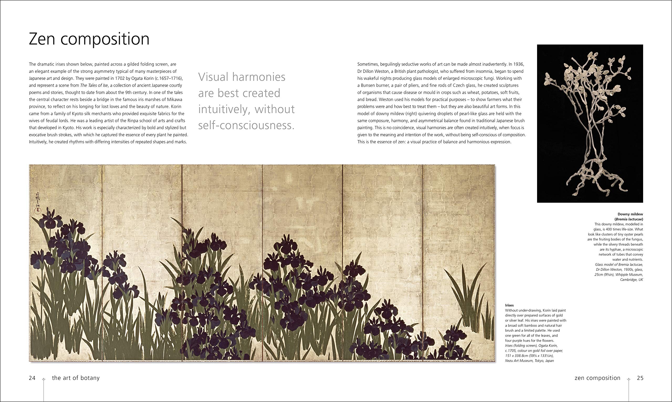 Botany for the Artist Sarah Simblet