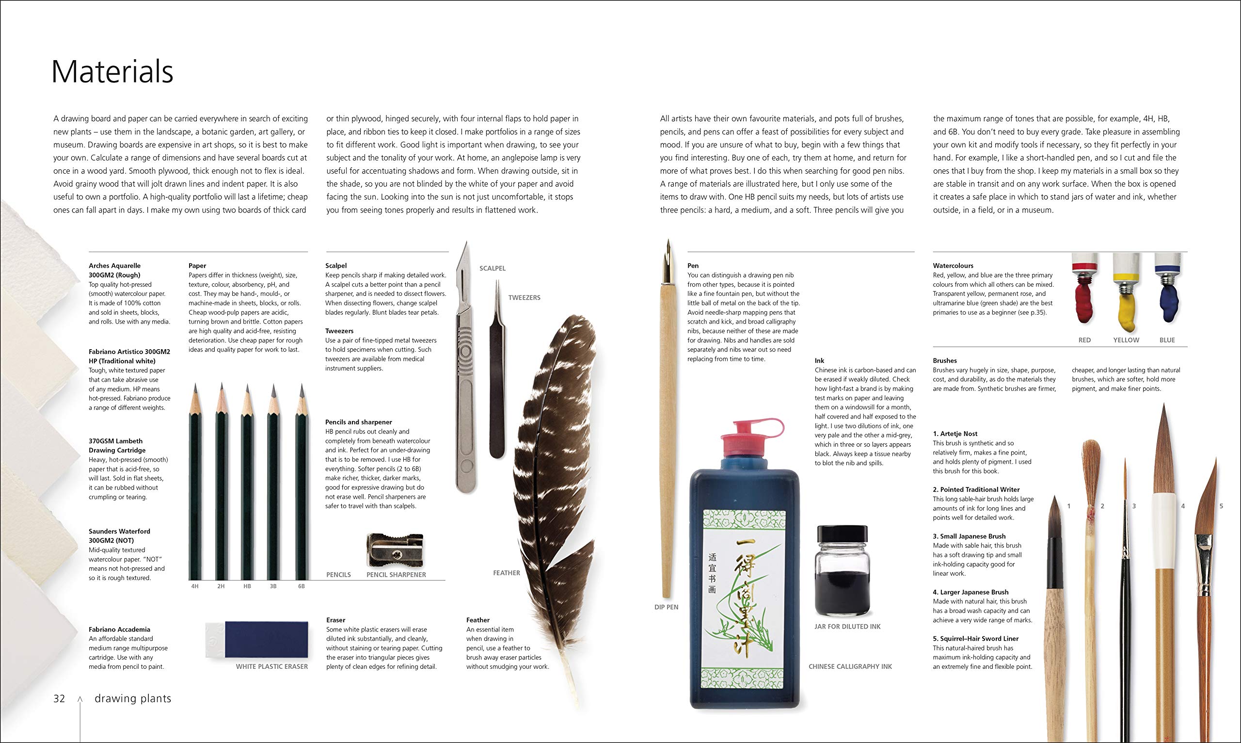 Botany for the Artist Sarah Simblet