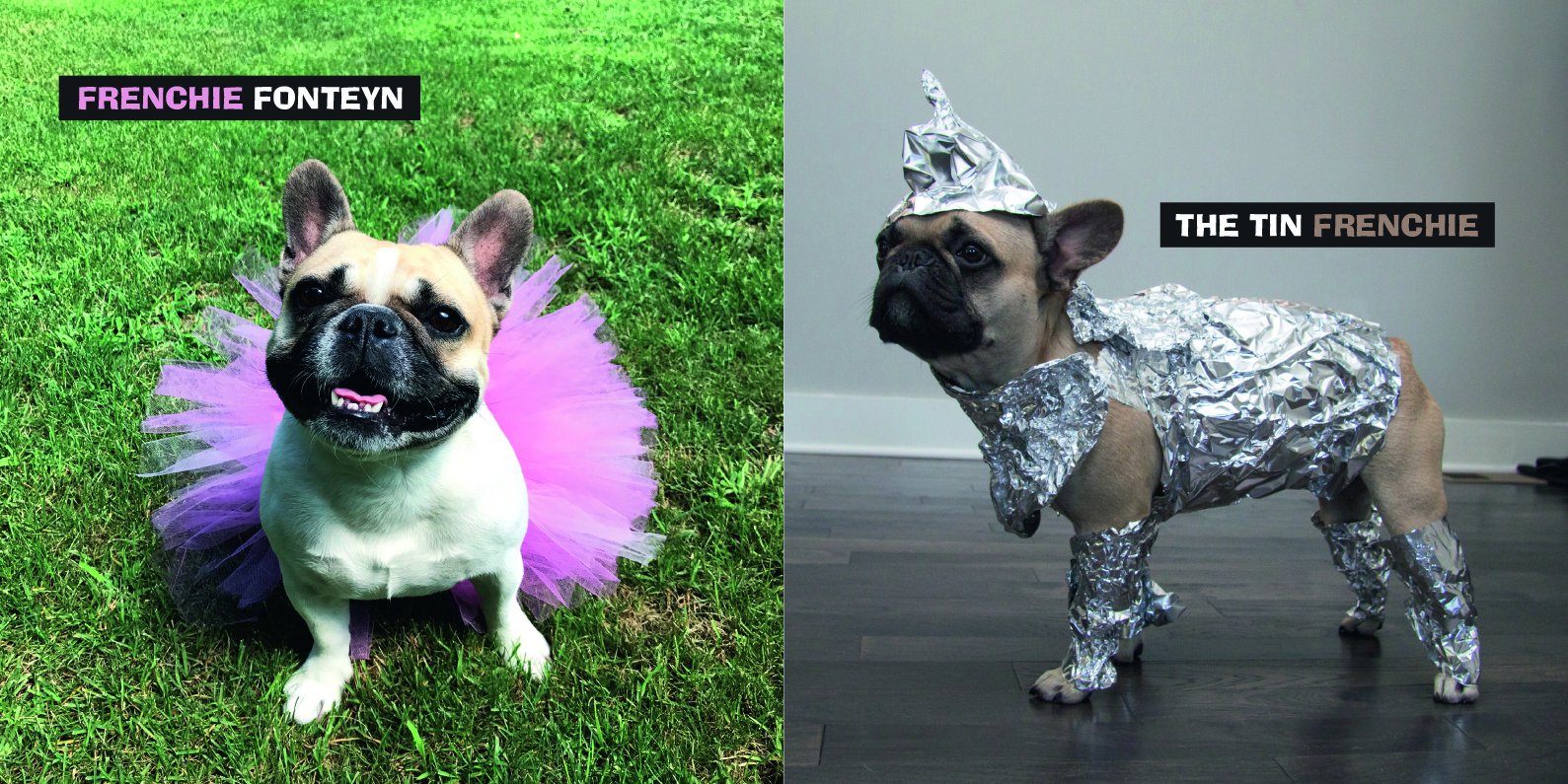 Fancy Frenchies French Bulldogs in Costumes Pop Press