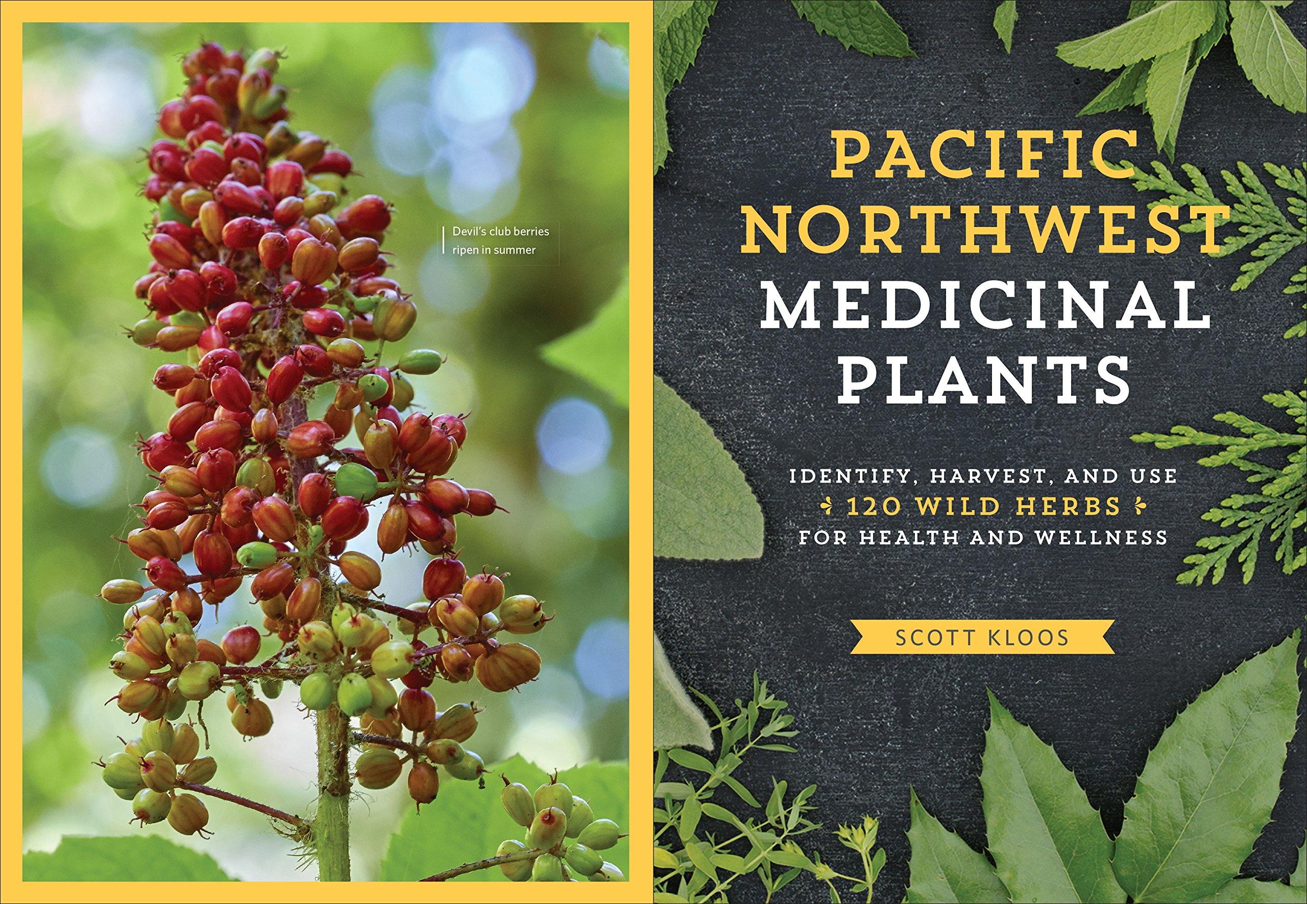 Pacific Northwest Medicinal Plants Scott Kloos