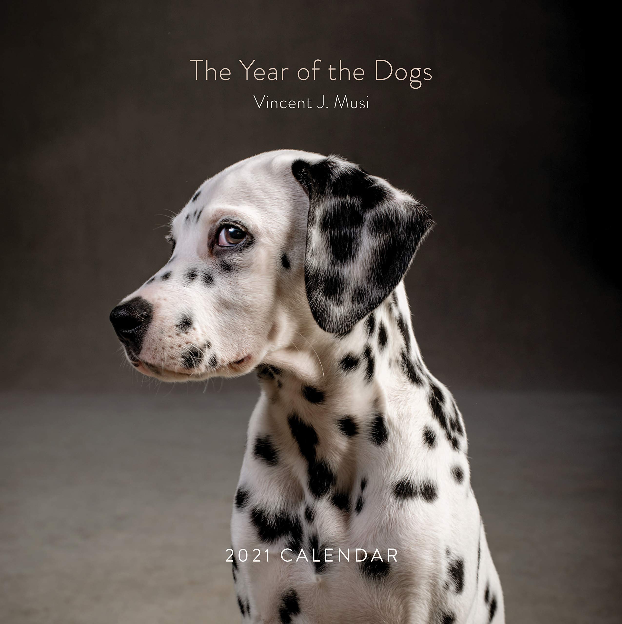Calendar 2021 Year of the Dogs Chronicle Books
