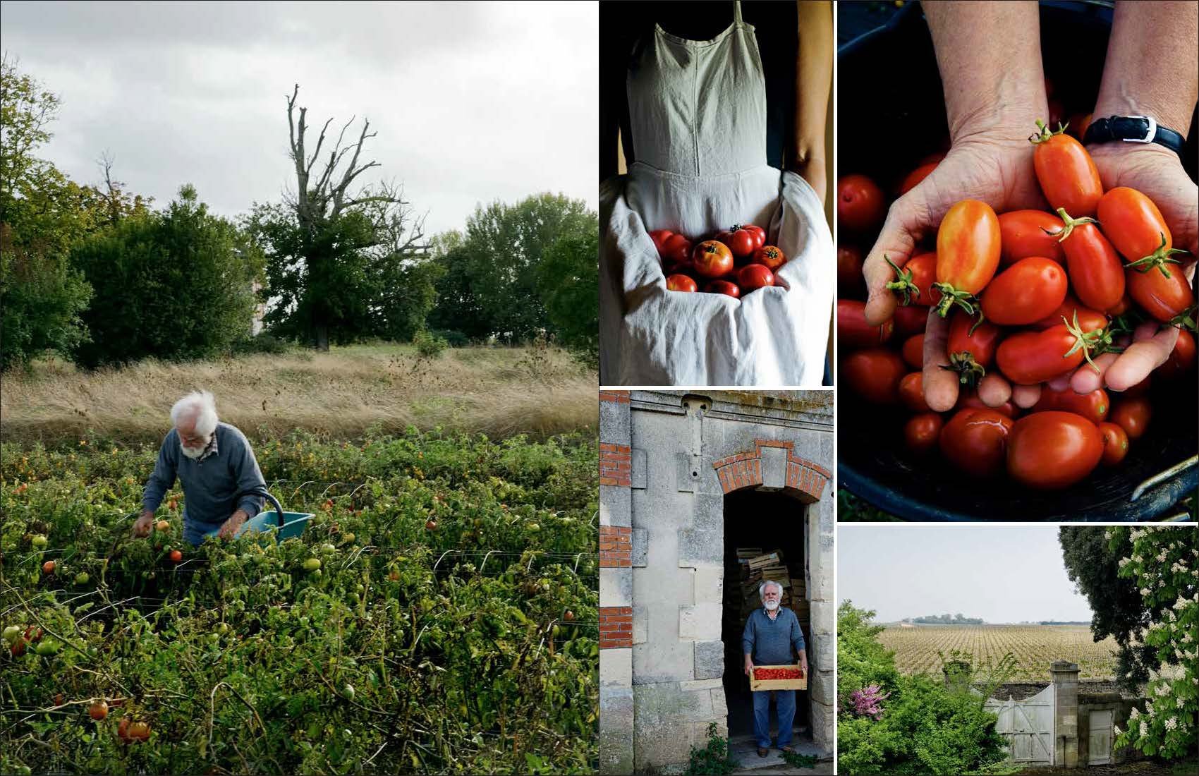 A Kitchen in France Mimi Thorisson